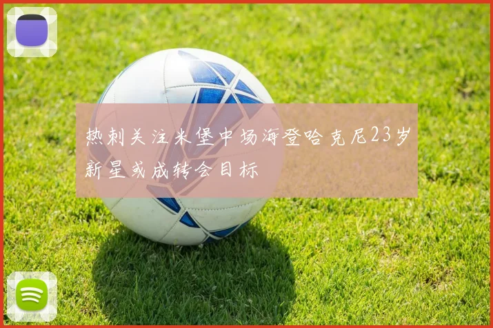 热刺关注米堡中场海登哈克尼23岁新星或成转会目标
